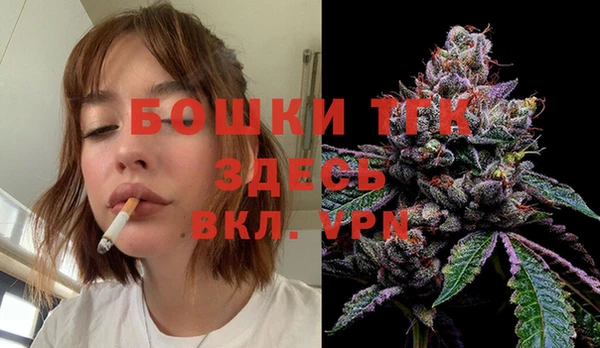 сатива Киреевск