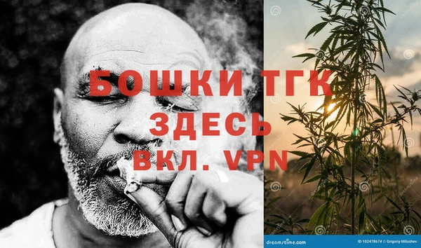 сатива Киреевск