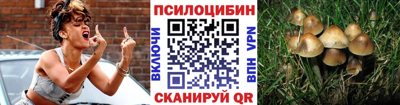 кракен как зайти  хочу   Медвежьегорск  Псилоцибиновые грибы Psilocybine cubensis 