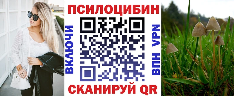 Псилоцибиновые грибы Psilocybe Медвежьегорск